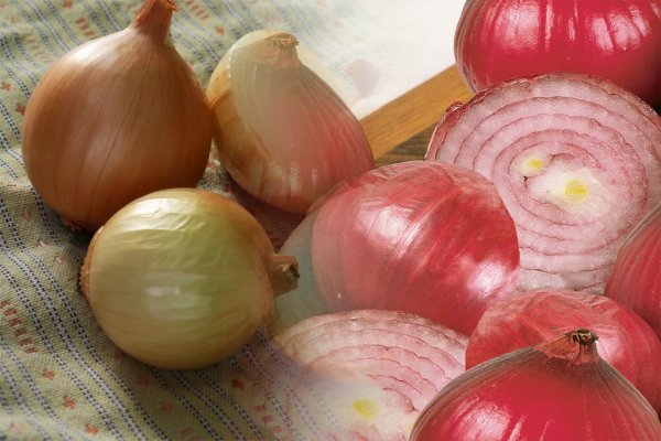 Ссылка сайт кракен onion top